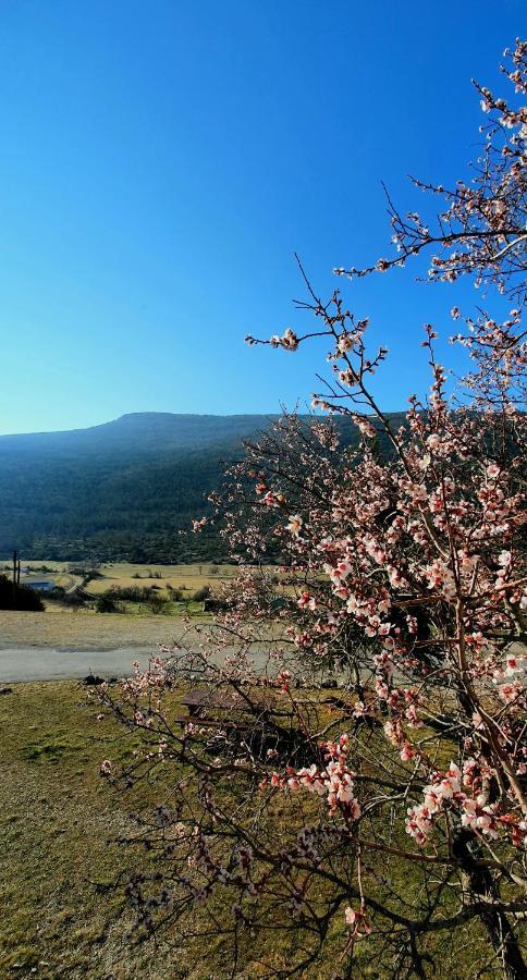 Auberge Collective Cozy&Family La Palud-sur-Verdon Dış mekan fotoğraf